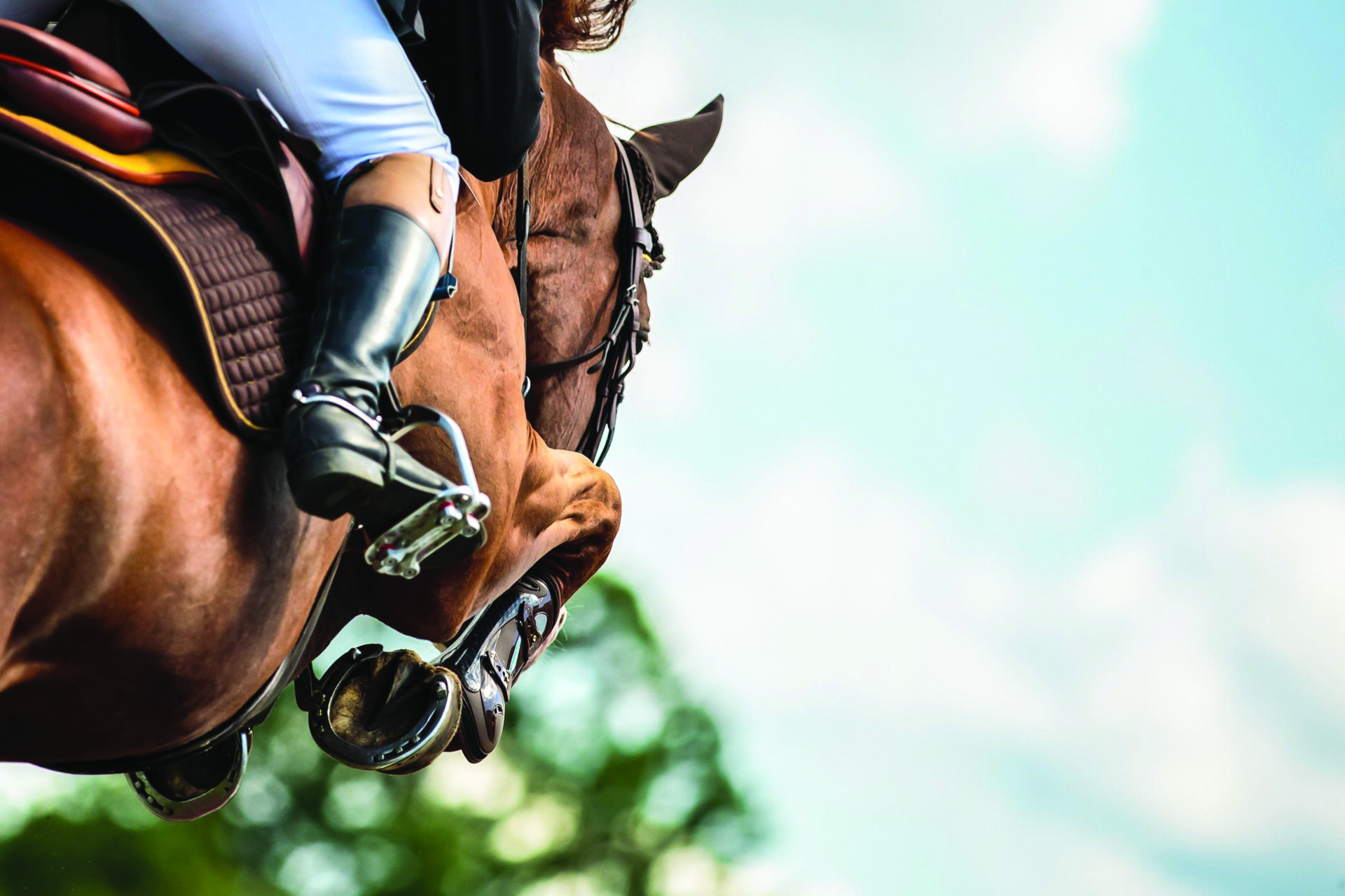 Horse jumping over an obstacle during a showjumping competition.